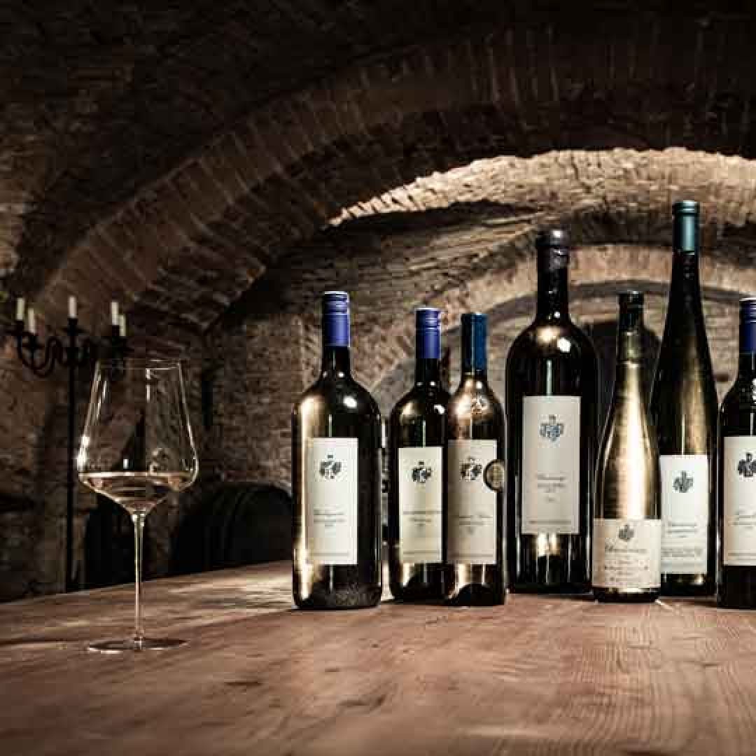 Kodolitsch-Flaschen-im-Keller-001-1zu1