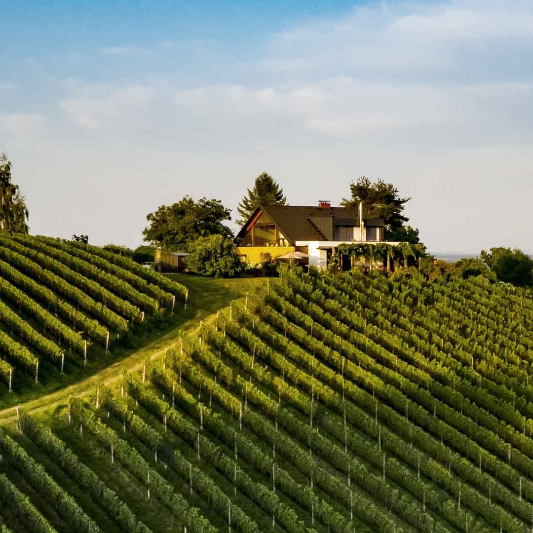 Kodolitsch-Haus-im-Weingarten-001-1zu1