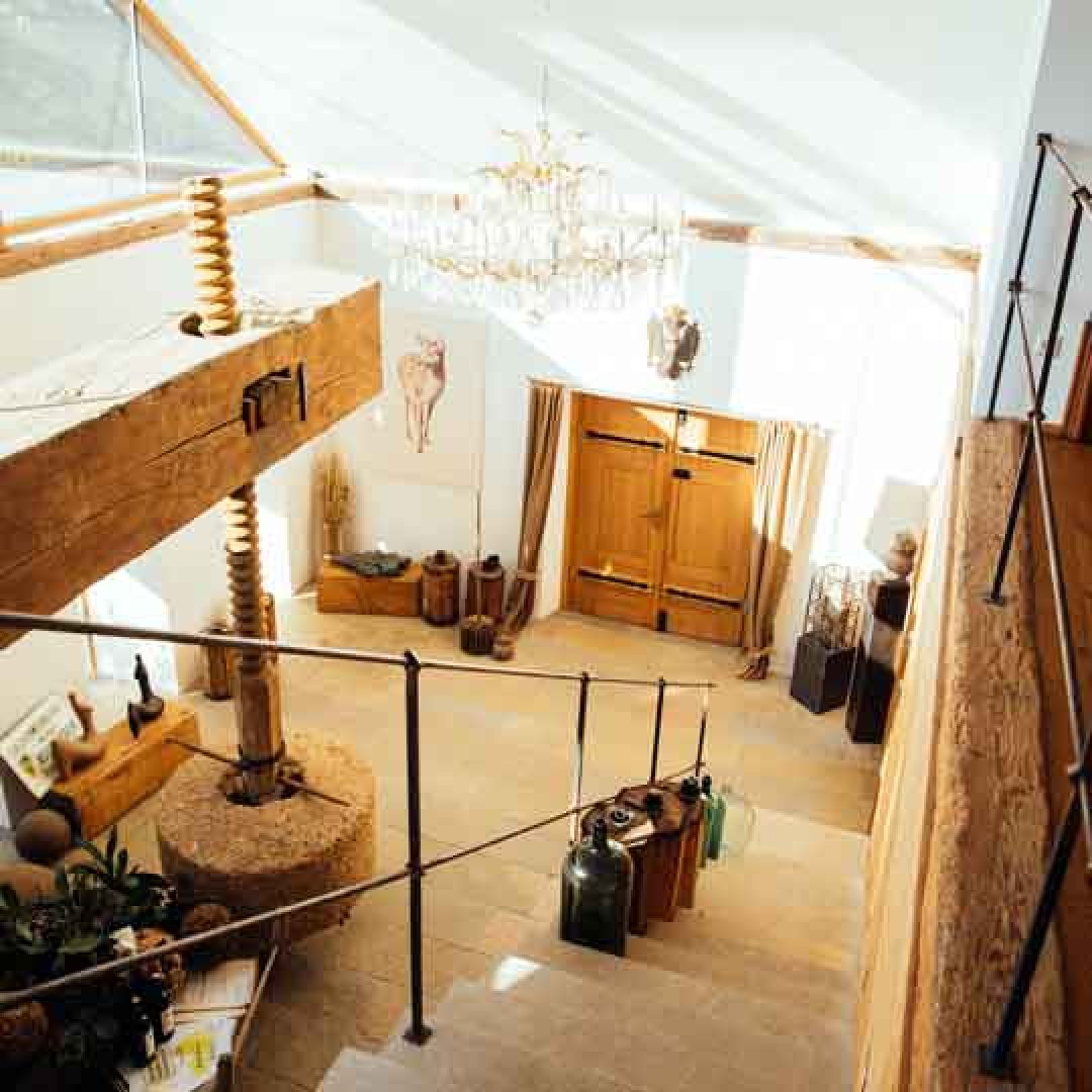 Kodolitsch-Kunst-im-Weingarten-005-1zu1