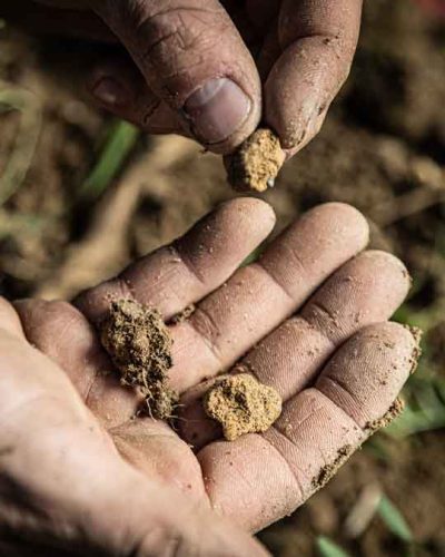 Kodolitsch-Mario-Weber-003-4zu5