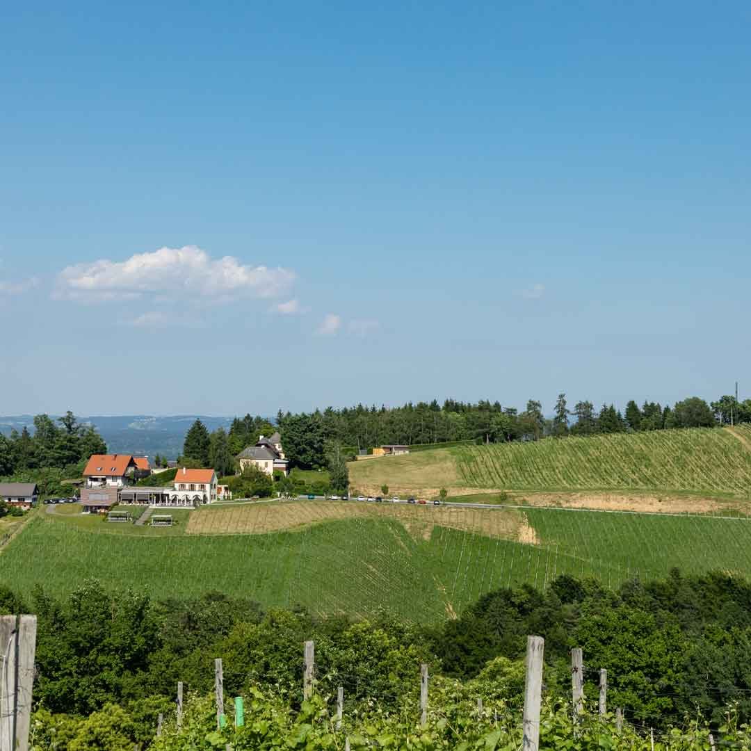 Kodolitsch-Ried-Kogelberg-001-1zu1