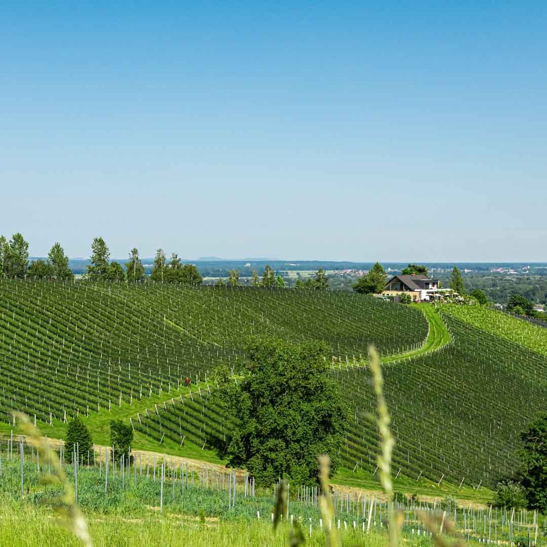 Kodolitsch-Ried-Rosengarten-001-1zu1