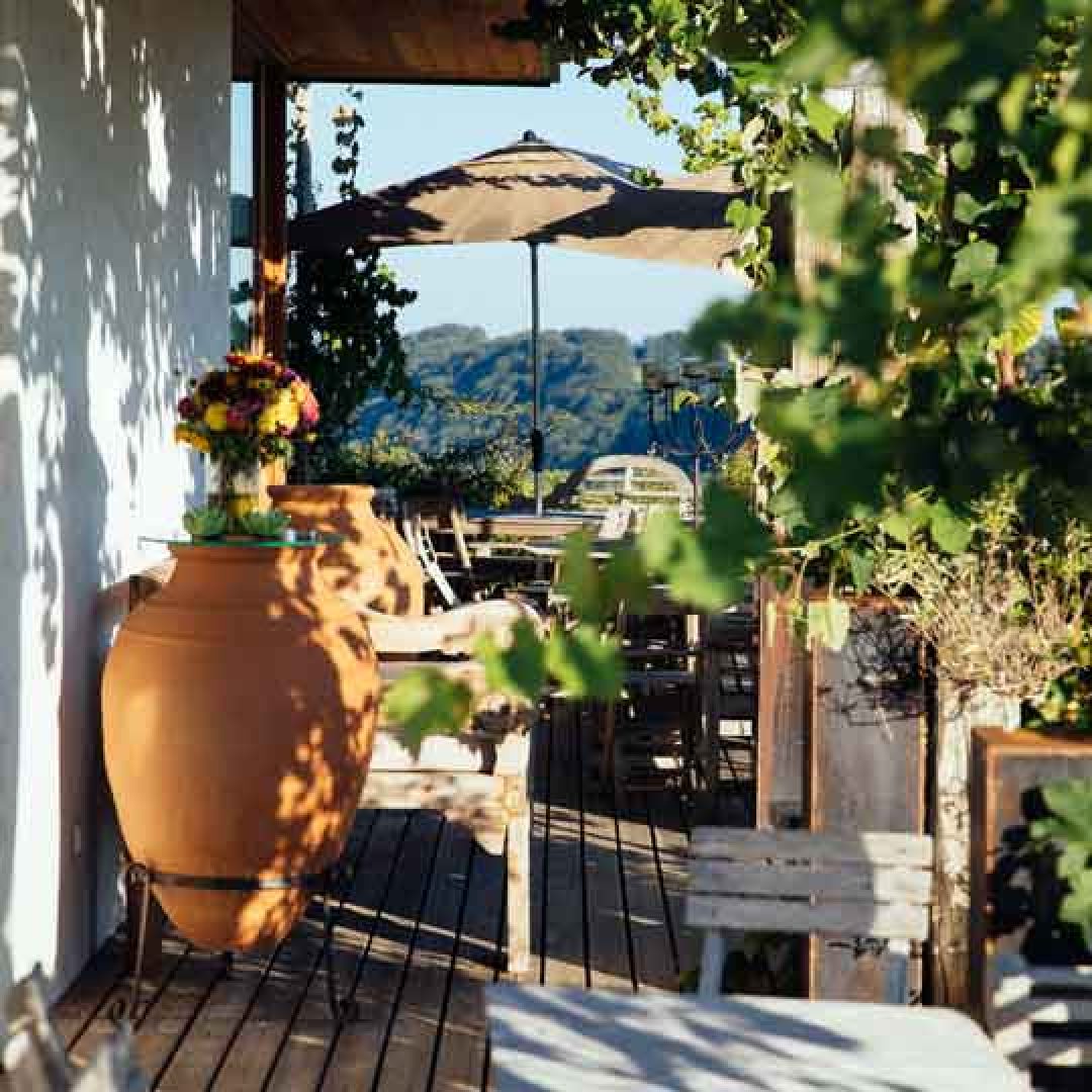 Kodolitsch-Terrasse-im-Weingarten-001-1zu1